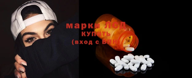 крисы Заводоуковск