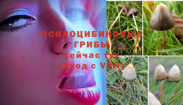 крисы Заводоуковск